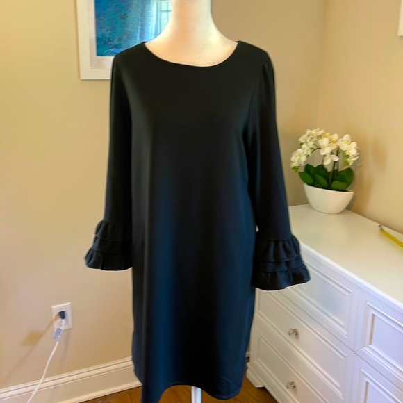 NWT MAX STUDIO SHEATH WITH RUFFLE SLEEVES - Picture 1 of 4